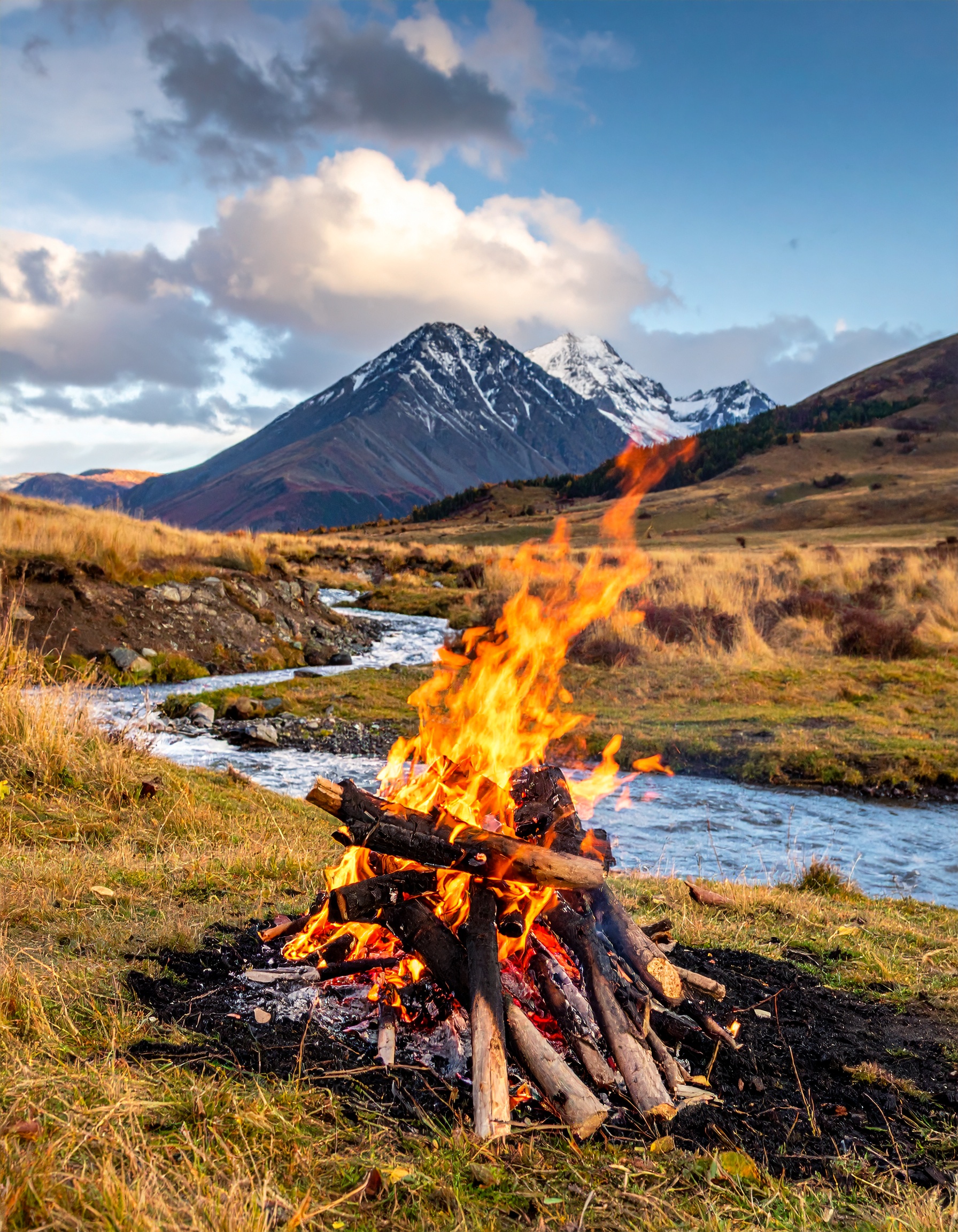 （オンライン）四柱推命鑑定　鑑定動画データ付き