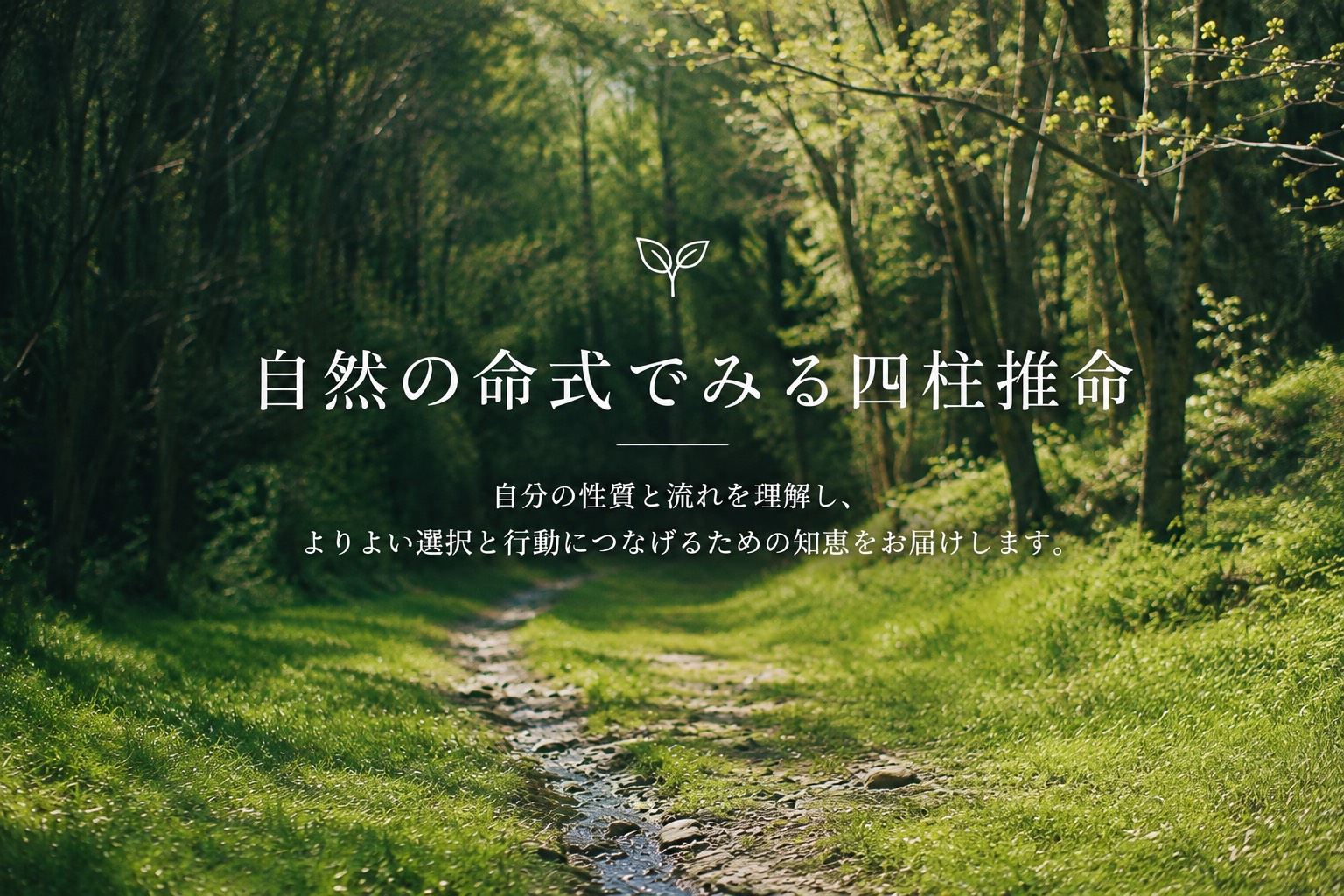 自然の命式でみる四柱推命 ― 自分の性質と流れを理解し、よりよい選択と行動につなげるための知恵をお届けします。