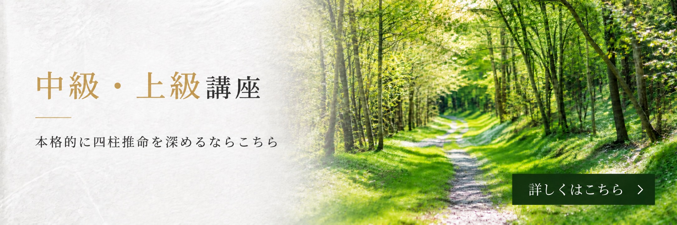 講座紹介｜中級・上級講座のご紹介