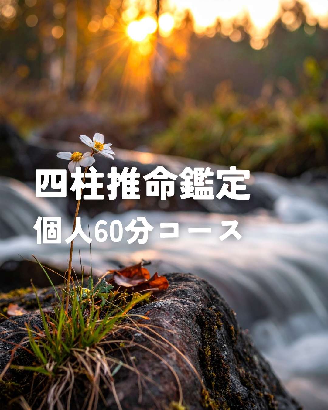 四柱推命鑑定（個人60分）