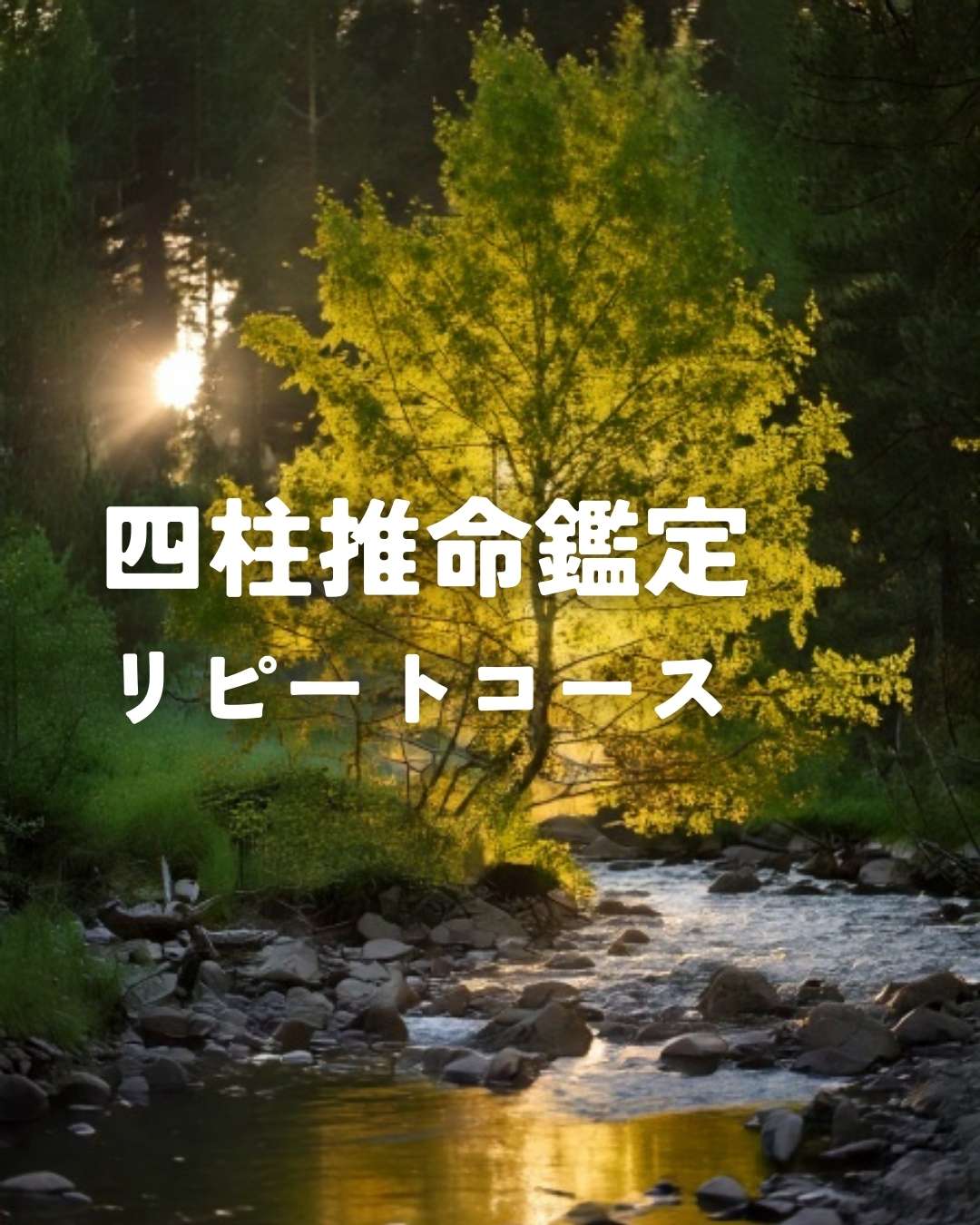 リピート四柱推命鑑定（60分）